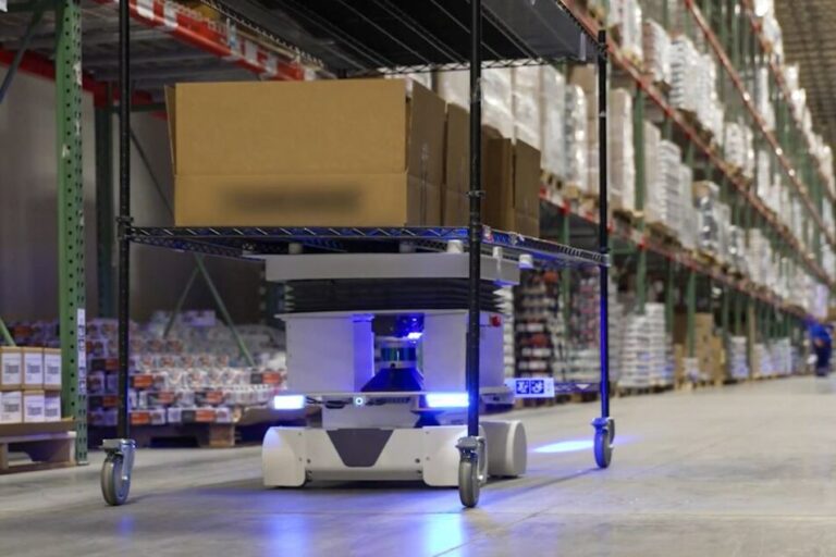 Flexible vs. Fixed Warehouse Automation: The Evolution of Logistics